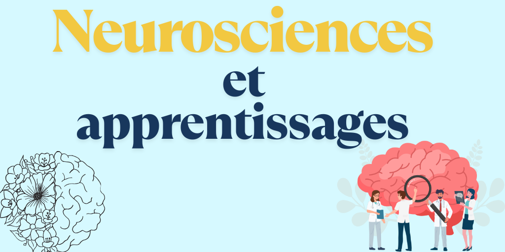 Exposition "Neurosciences et apprentissages" 1