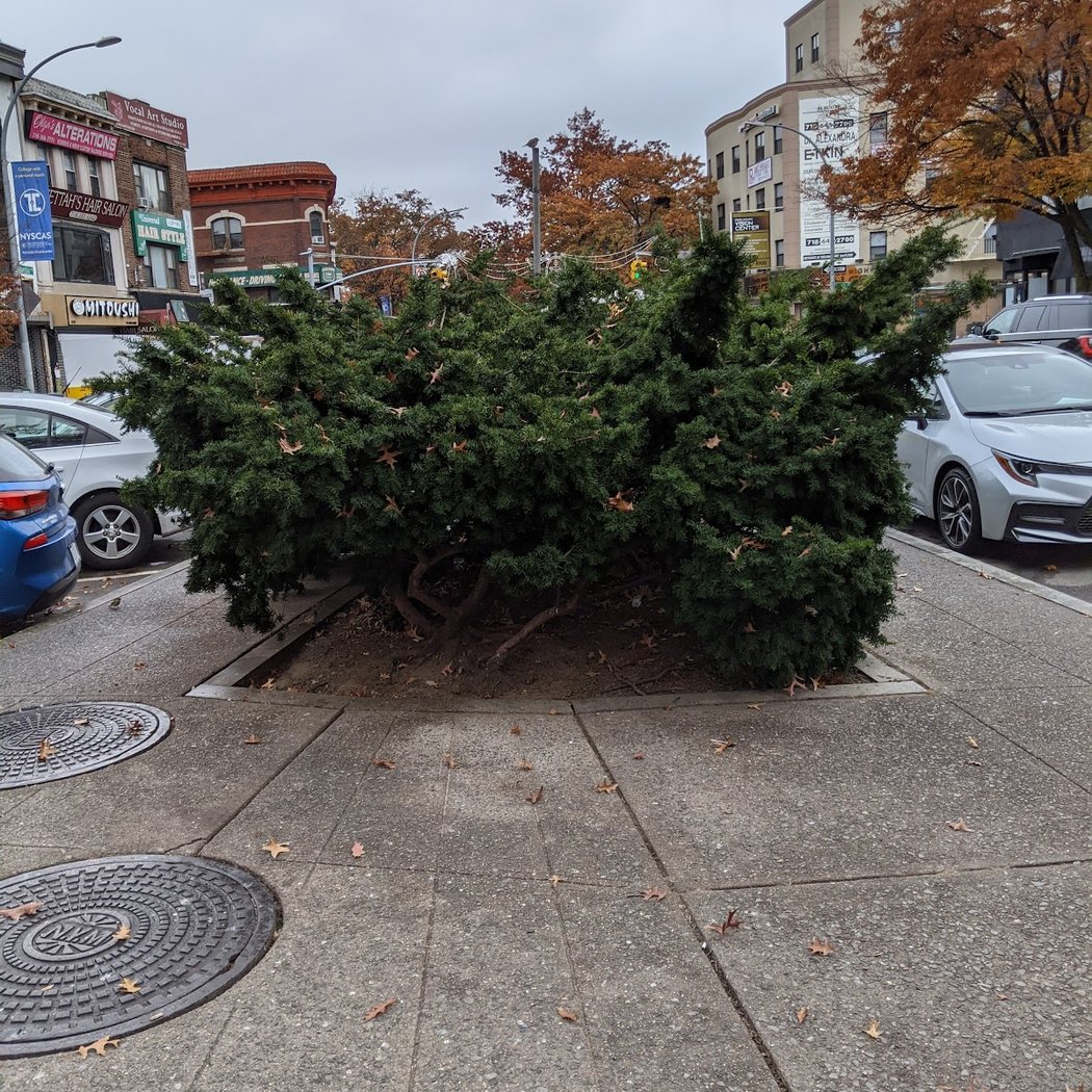 Sgt. Joyce Kilmer Square 3