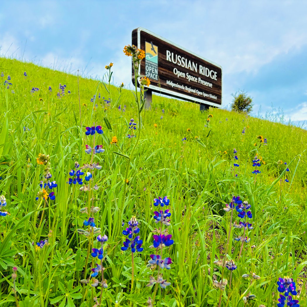 Earth Day Habitat Restoration 1