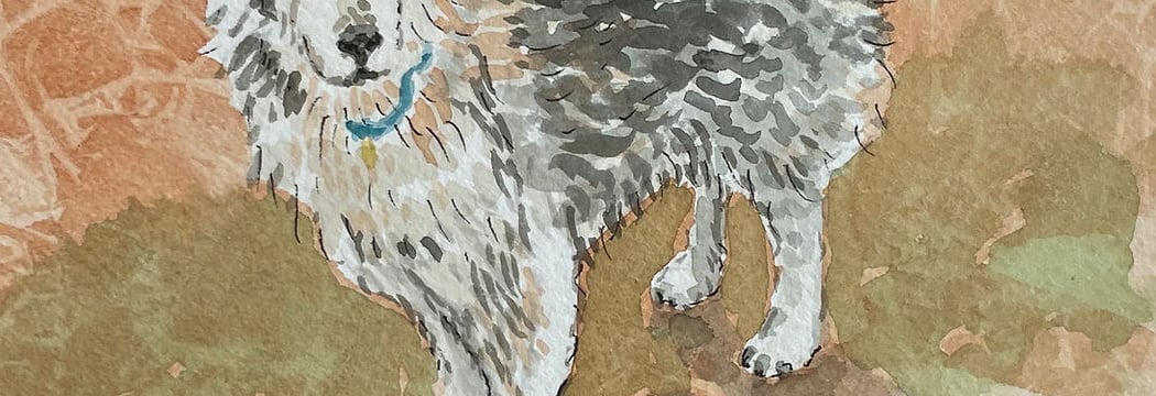 Intro to Watercolor: Animals and Pets 1