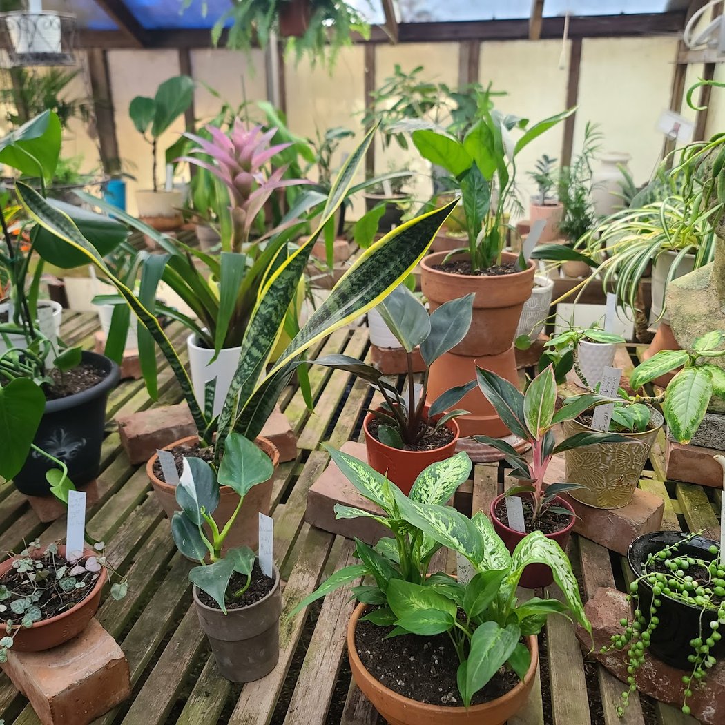 Master Gardeners Q&A 1