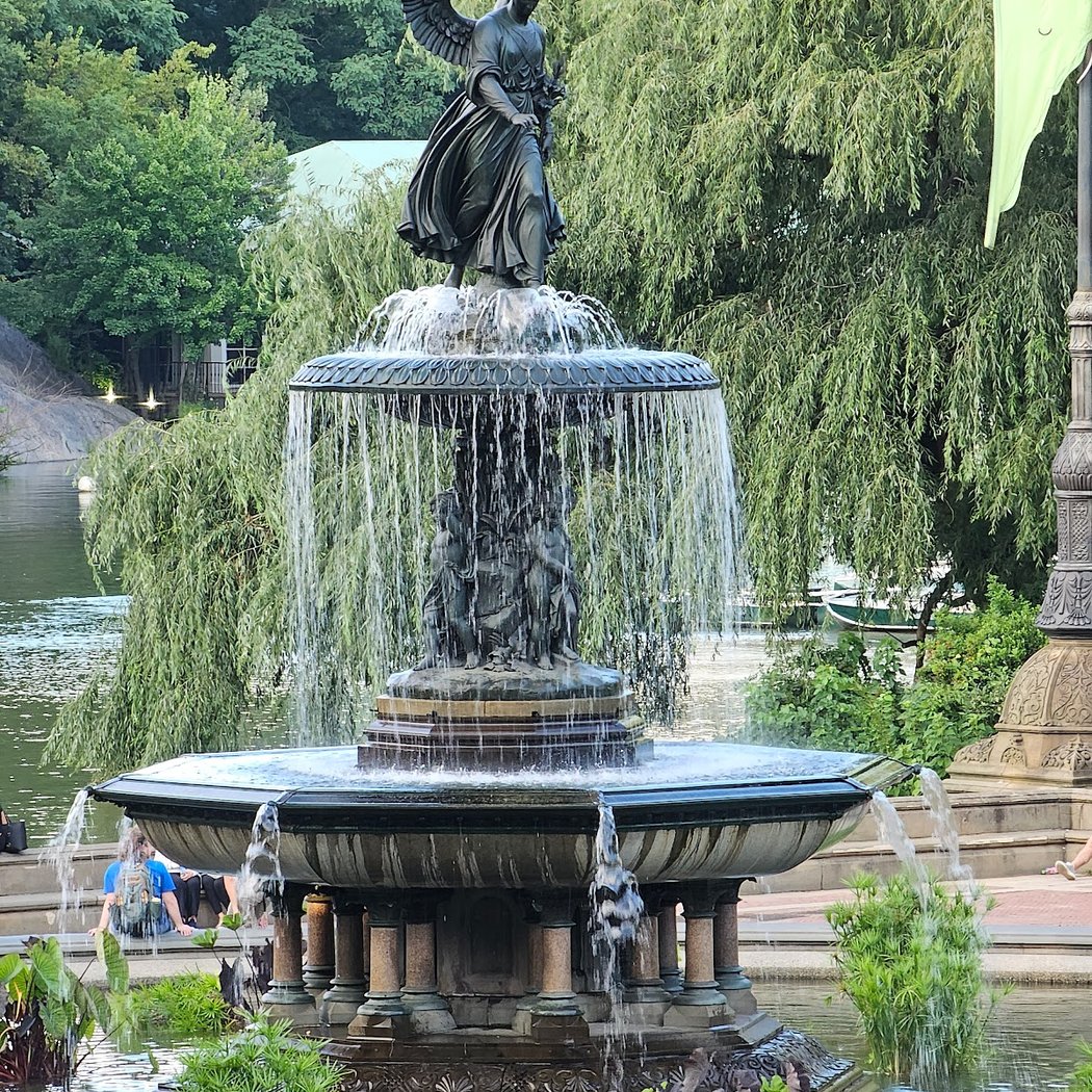 Centralparkexperience Sightseeing LLC 2