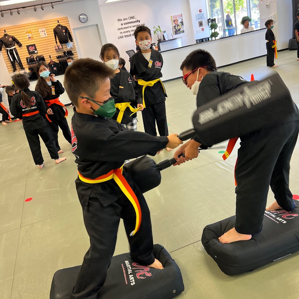 One Martial Arts - San Francisco 1