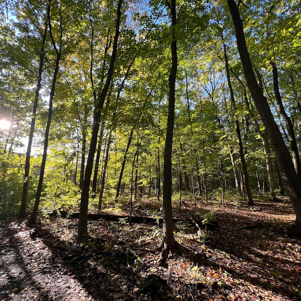 Oakwoods Nature Area