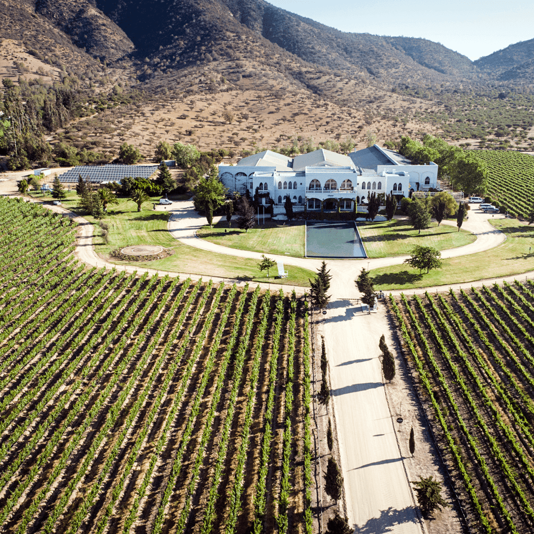 Rails & Reserves: Chilean Wine Dinner 3