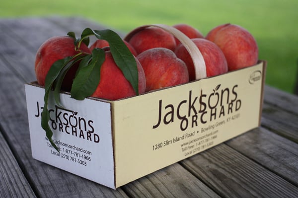 Peach Tastin' Days 2