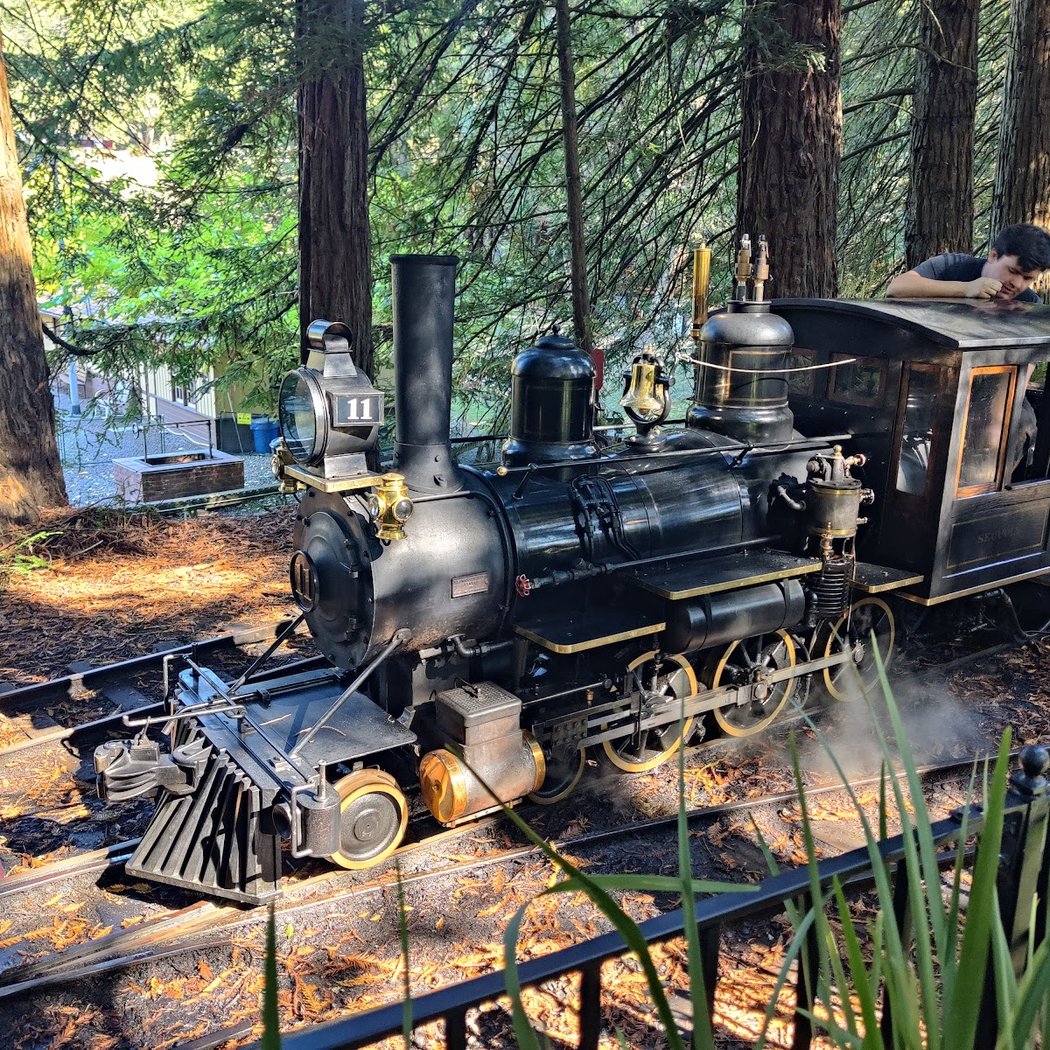 Ride the Tilden Stream Train 1