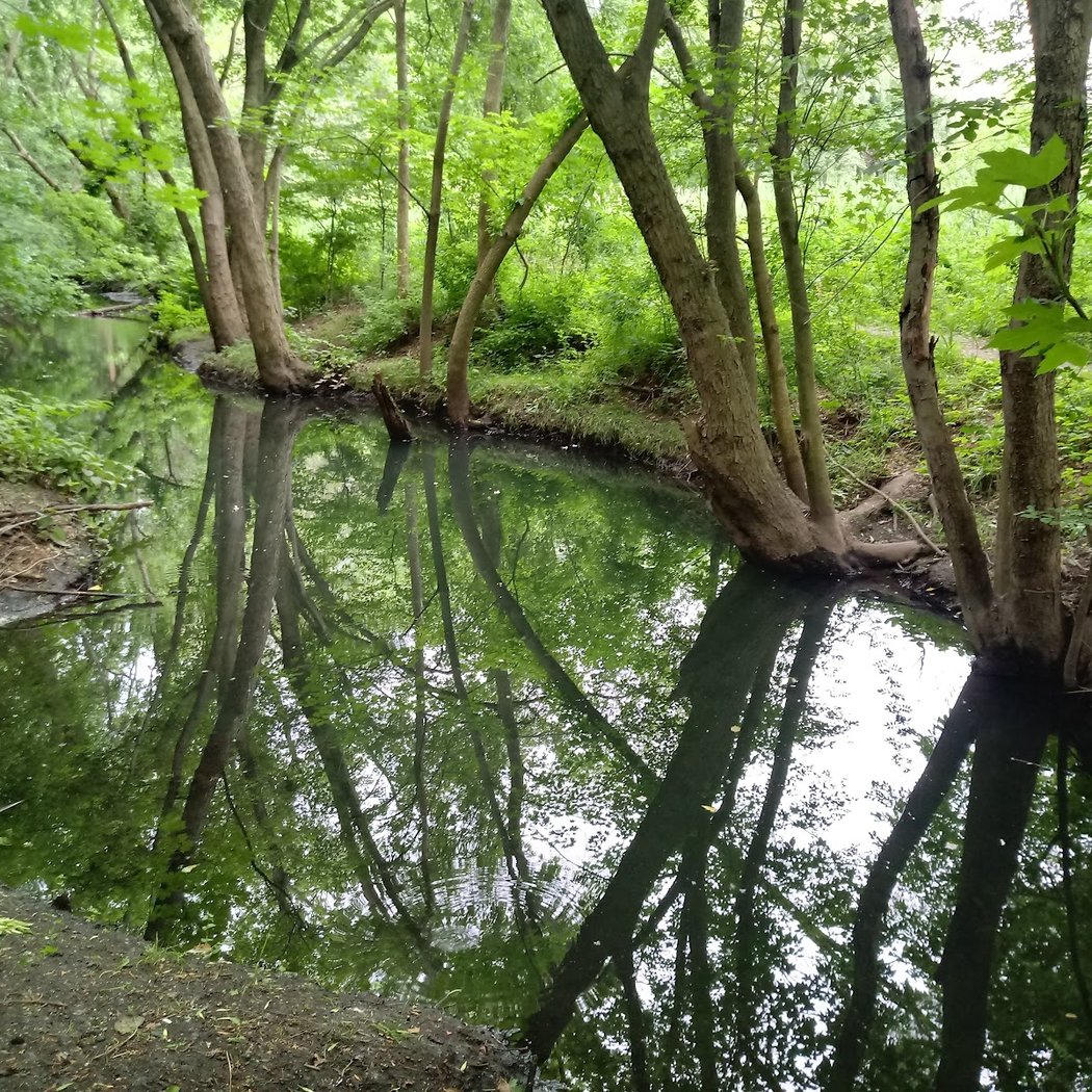 Teaneck Creek Conservancy 3