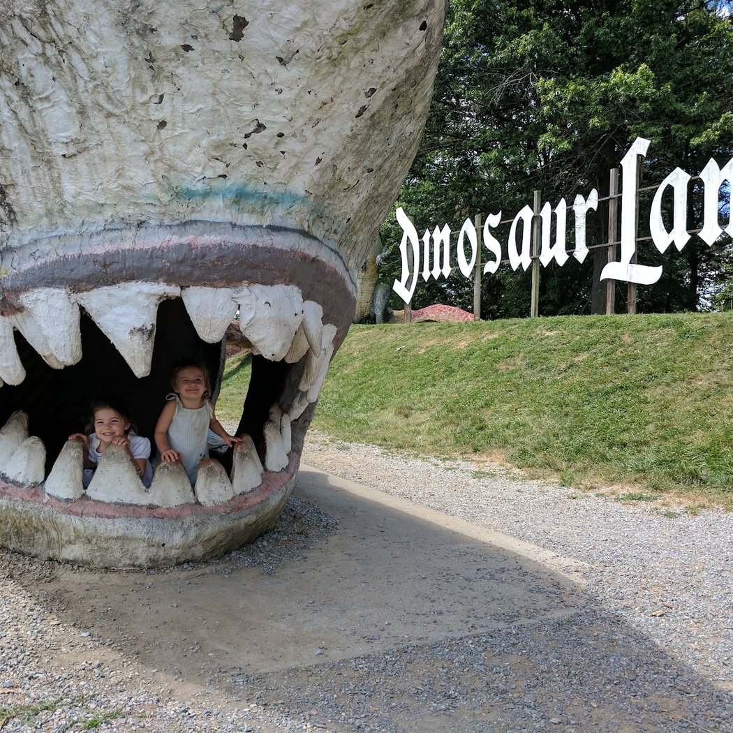 Dinosaur Land 1