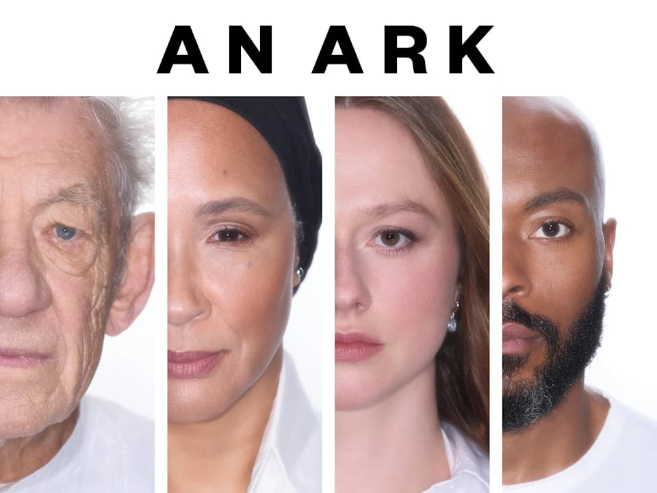 An Ark 2