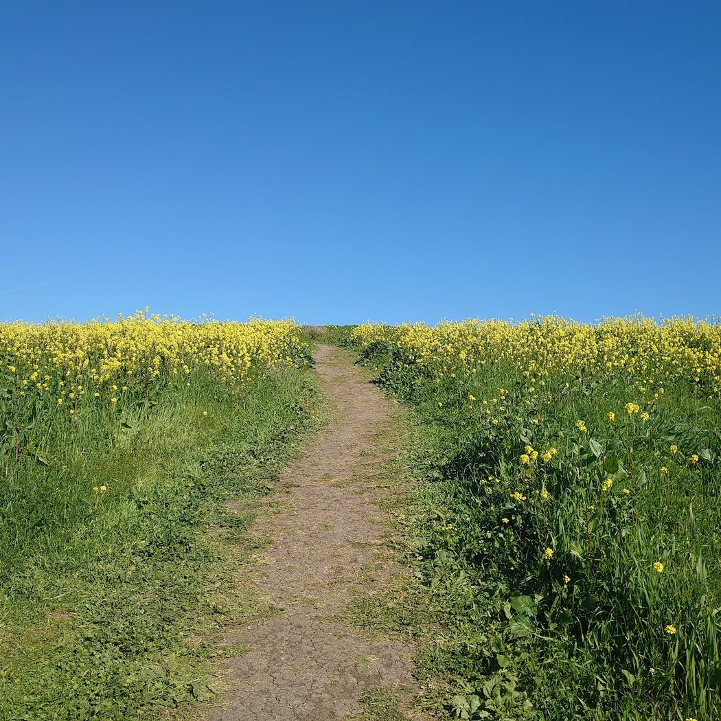 Cayetano Park Hiking trails 3