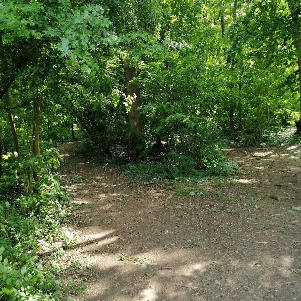 La Coulée Verte 2