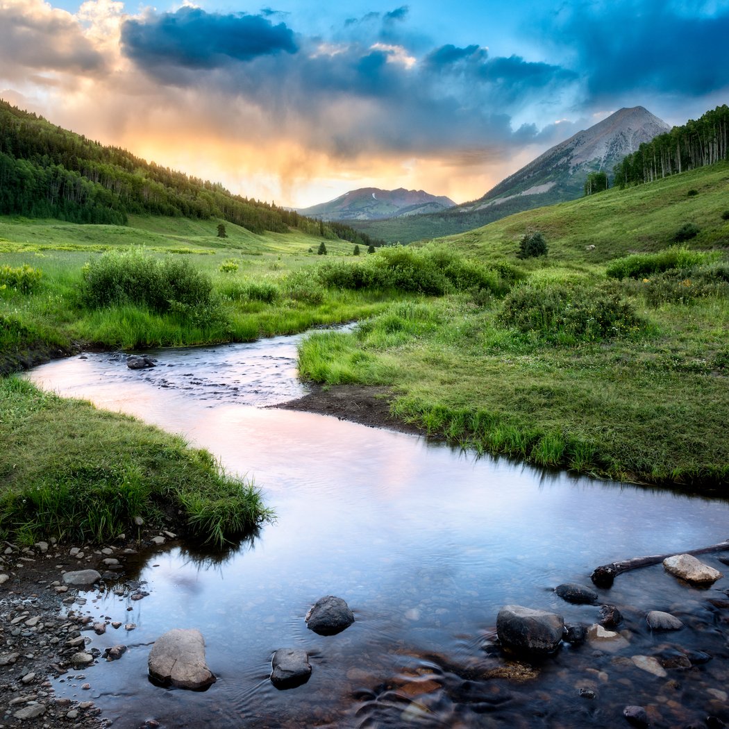 Deciduous Forest & Waterways Master Naturalist Course