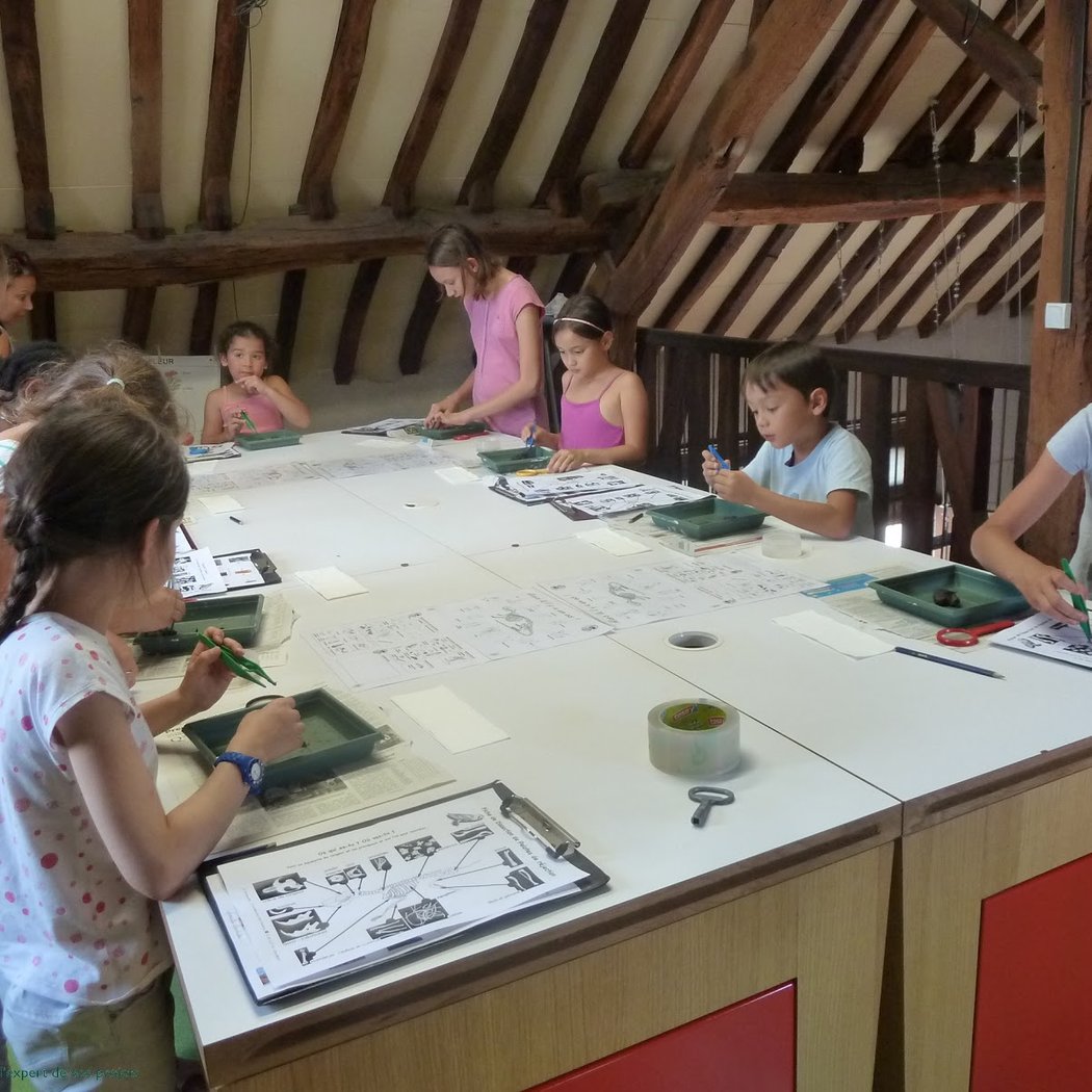 Ateliers nature et escape game 3
