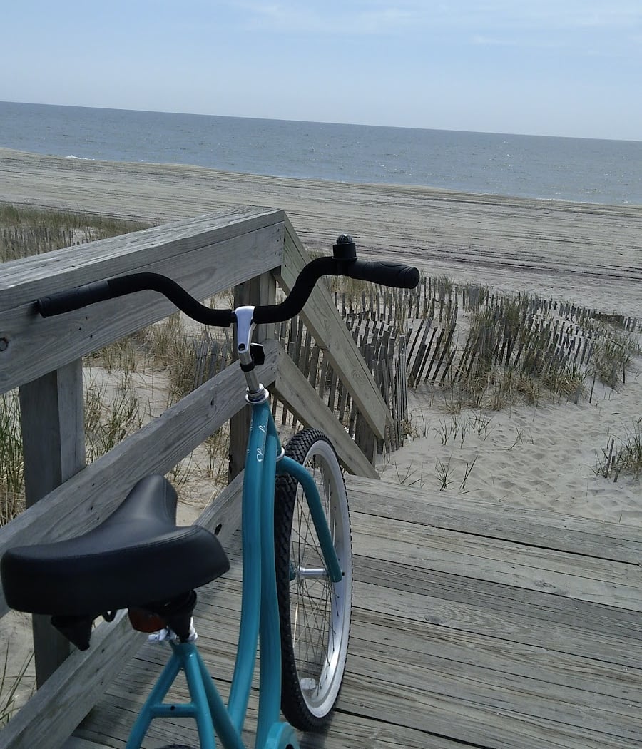 Ocean Bay Park 1