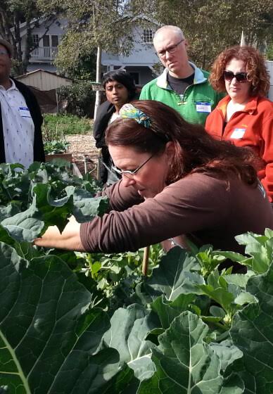 Intro to Organic Gardening Class 1