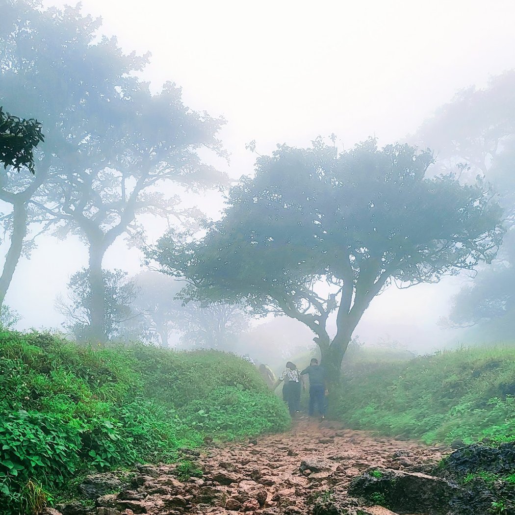 Kodachadri Trek 3