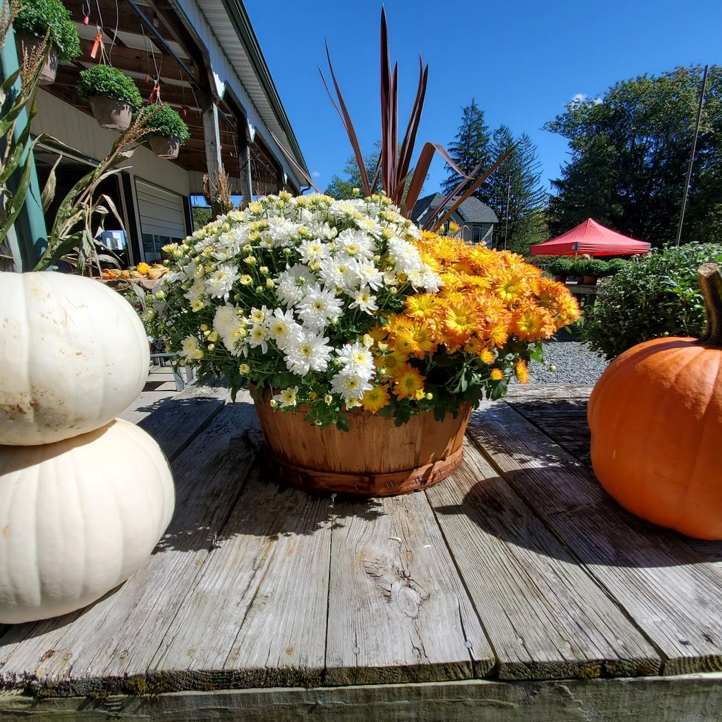 Vienna Hill Farm & Market LLC 1