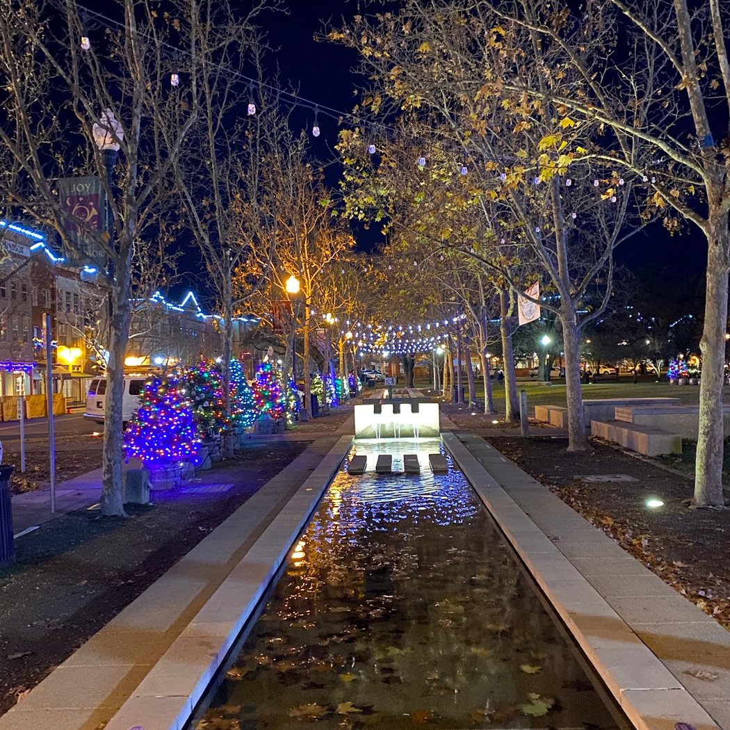 Windsor Holiday Celebration 4