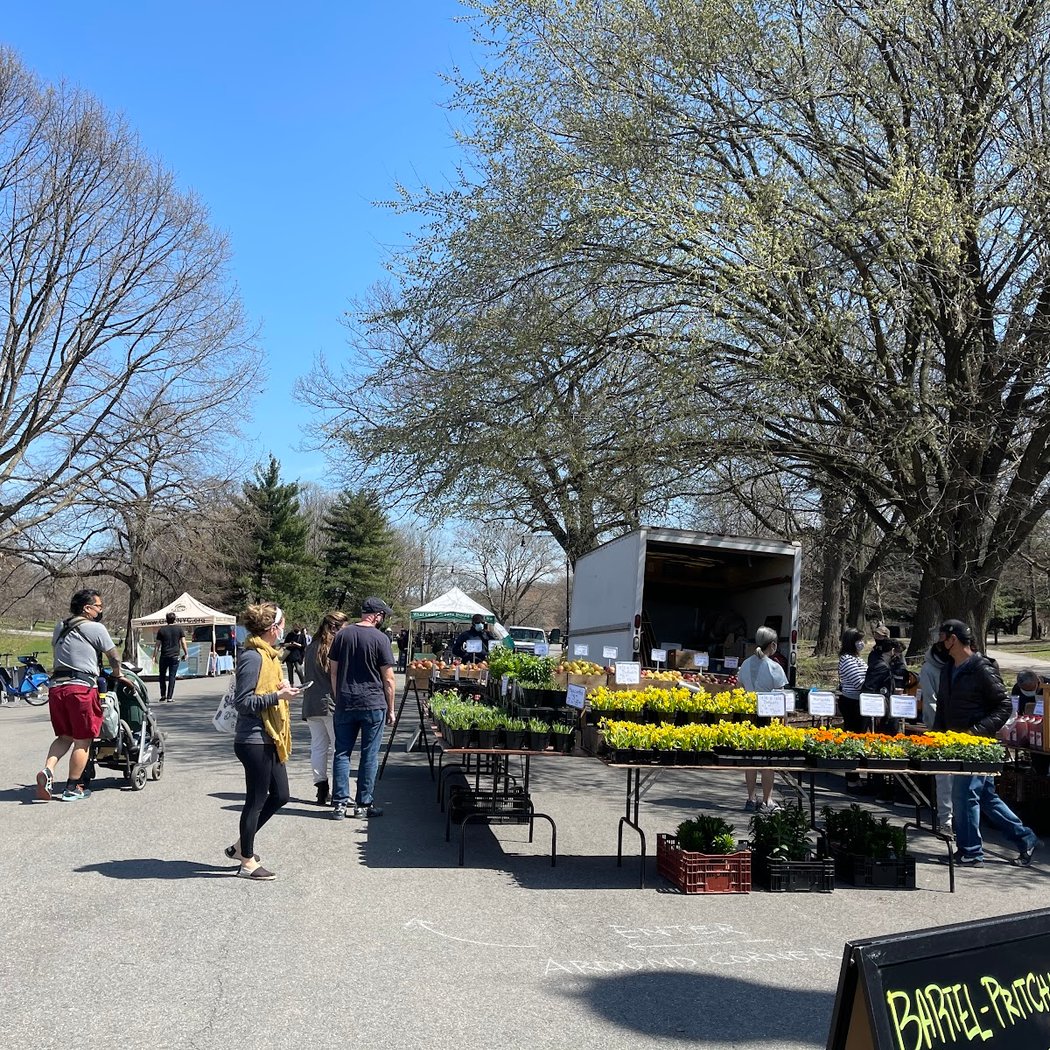 Wednesday Greenmarket 3
