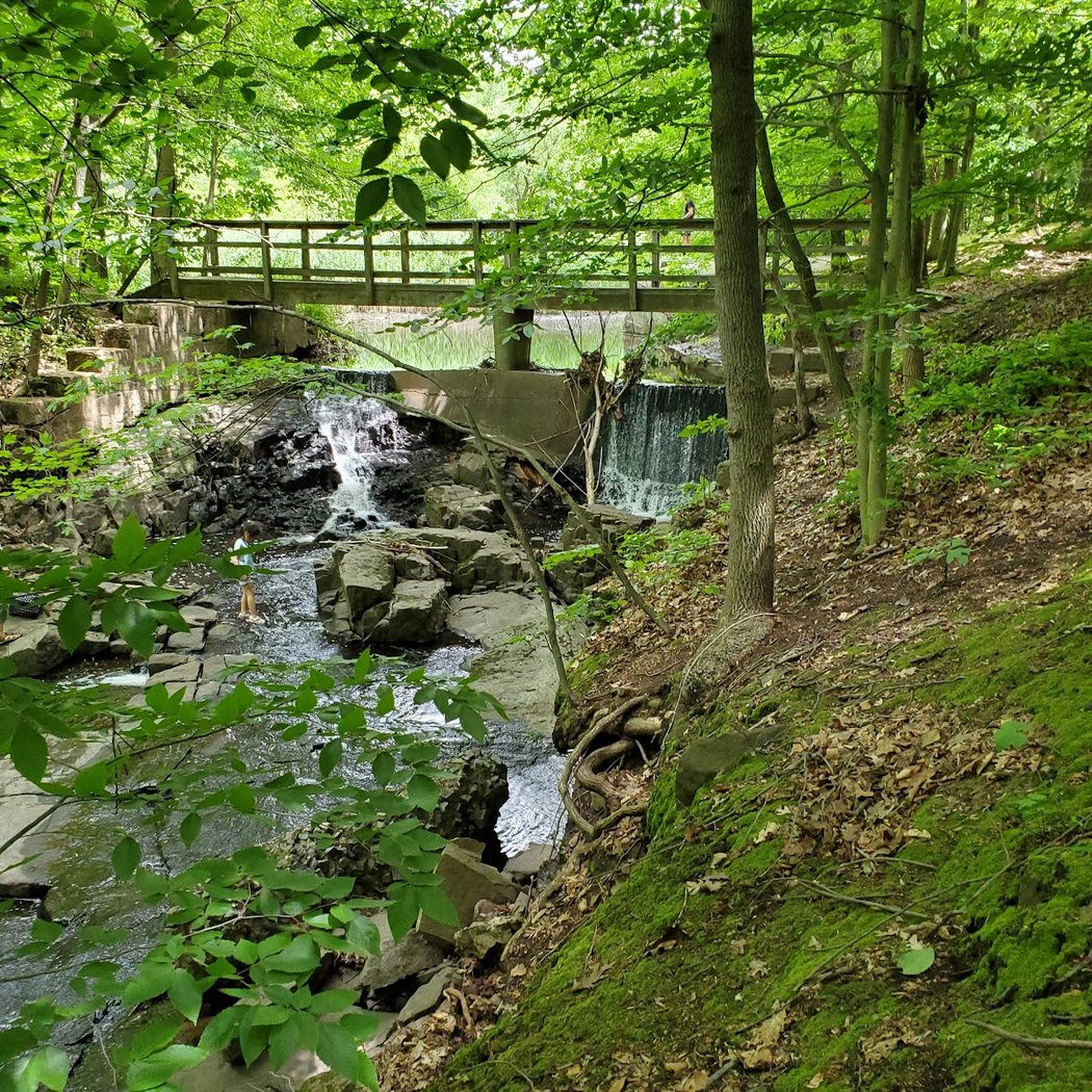 Flat Rock Brook Nature Center 4