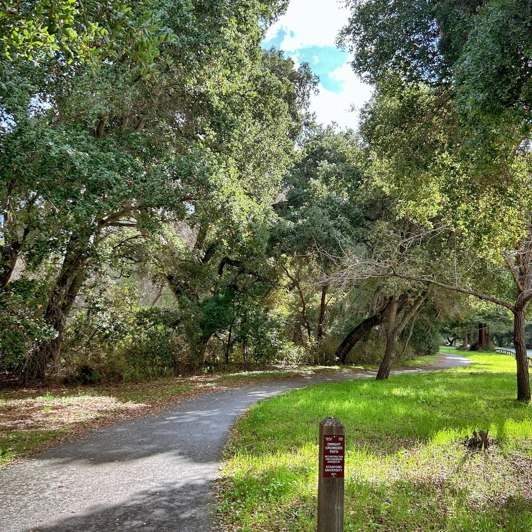 Alpine road bicycle trail 2