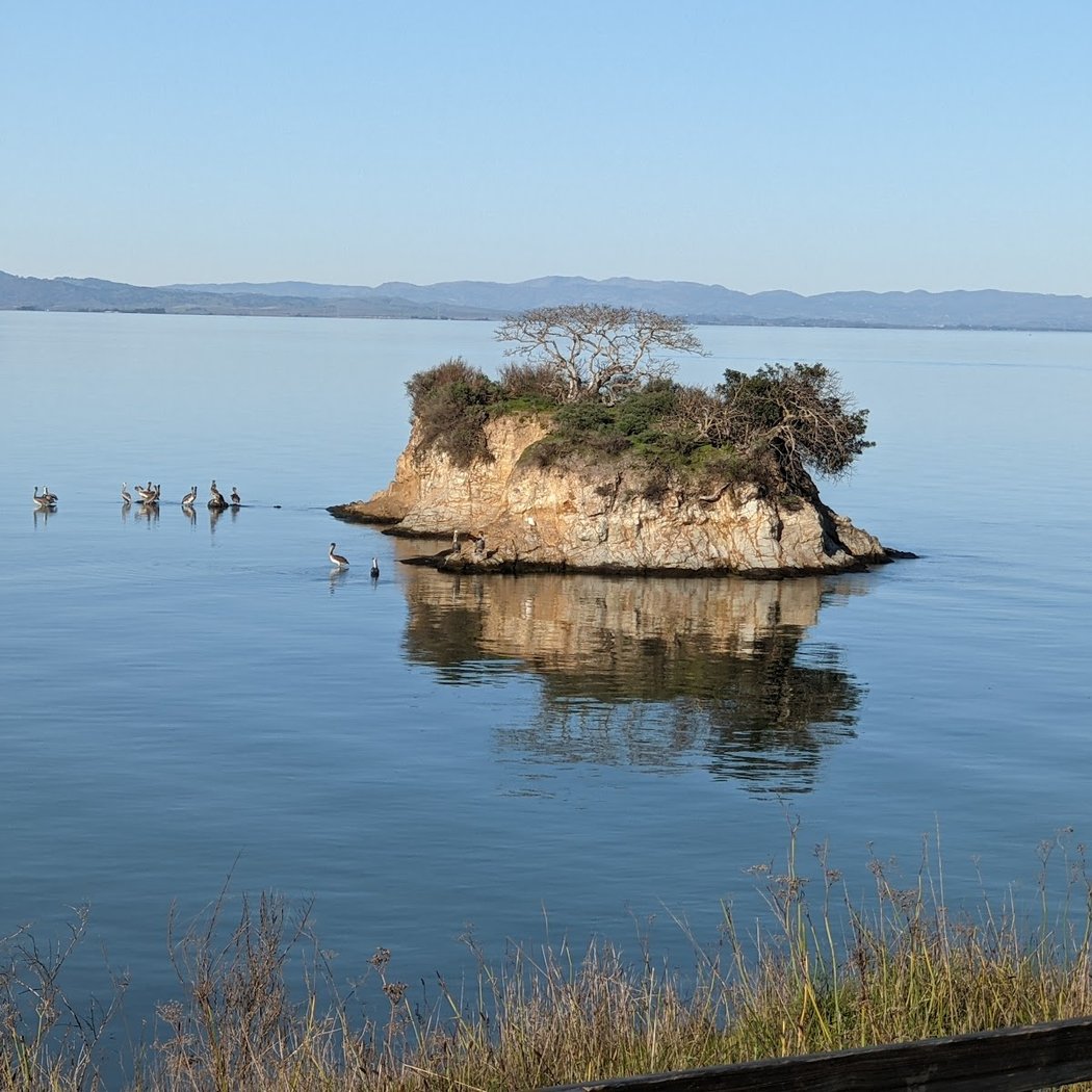 China Camp Beach 1