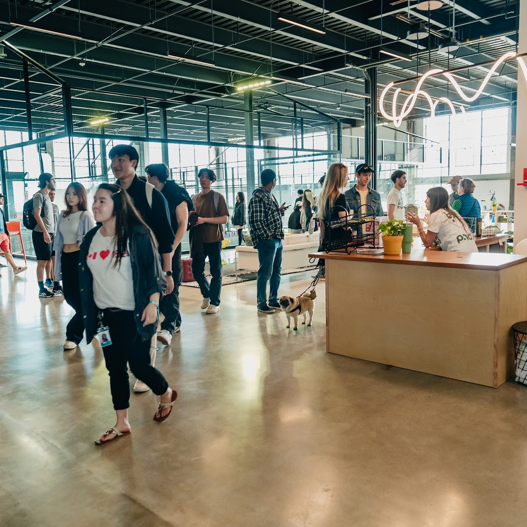 Bay Padel - Dogpatch 2