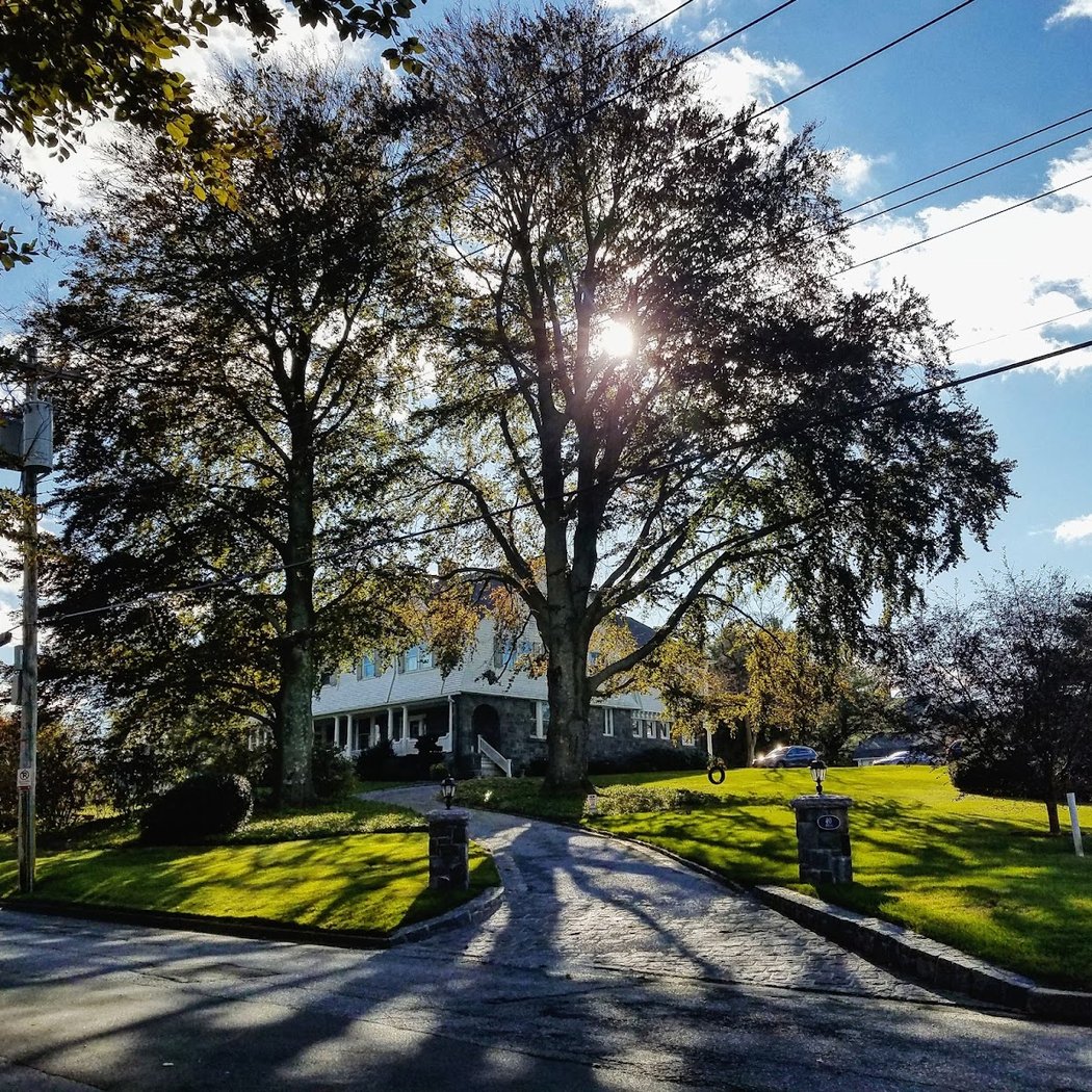 Larchmont 3