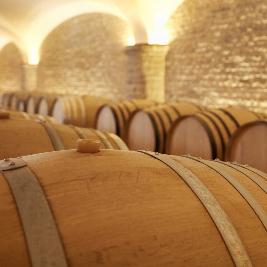 Burgundy Uncorked: The Art of Pairings 1