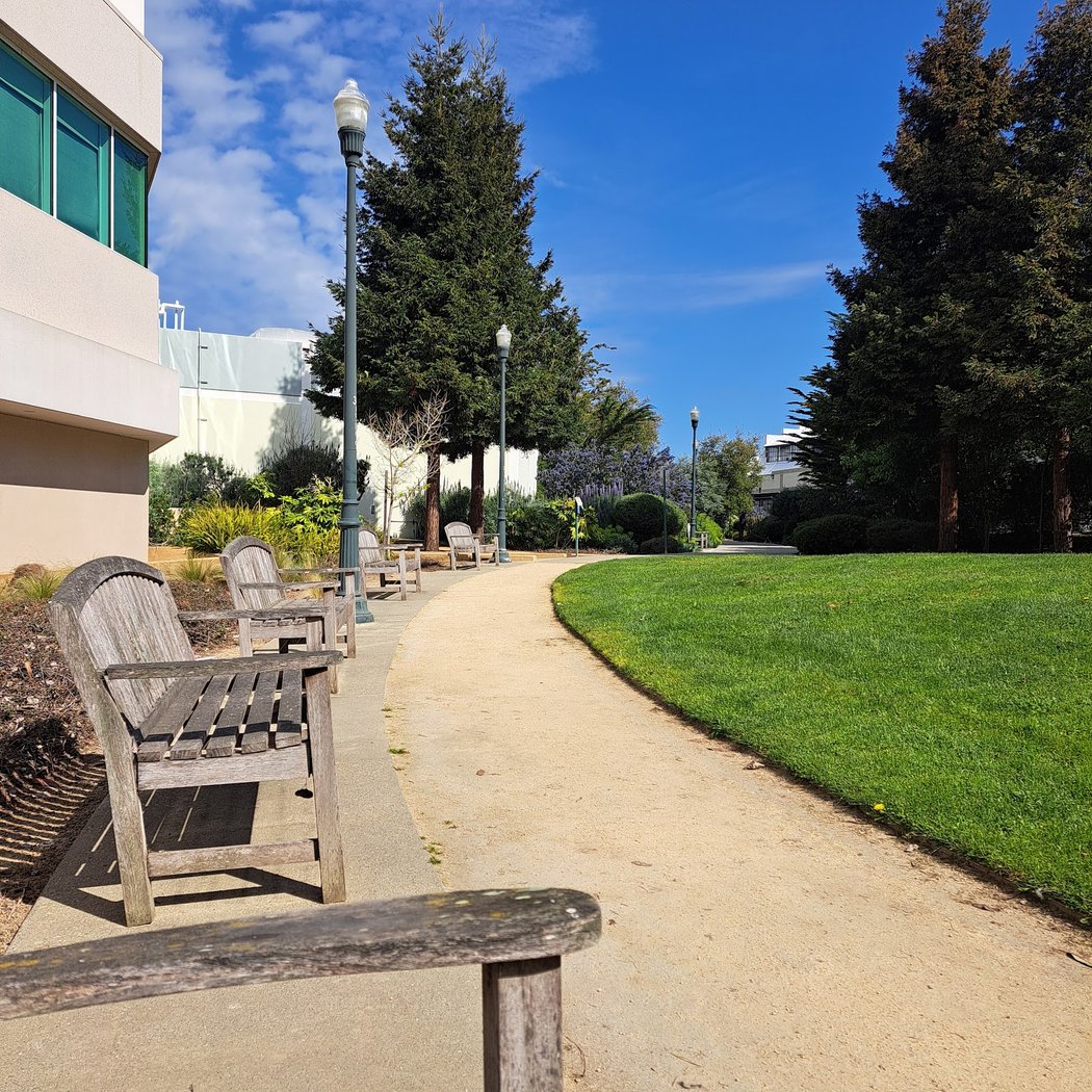 Emeryville Greenway & Grassy Knoll 1