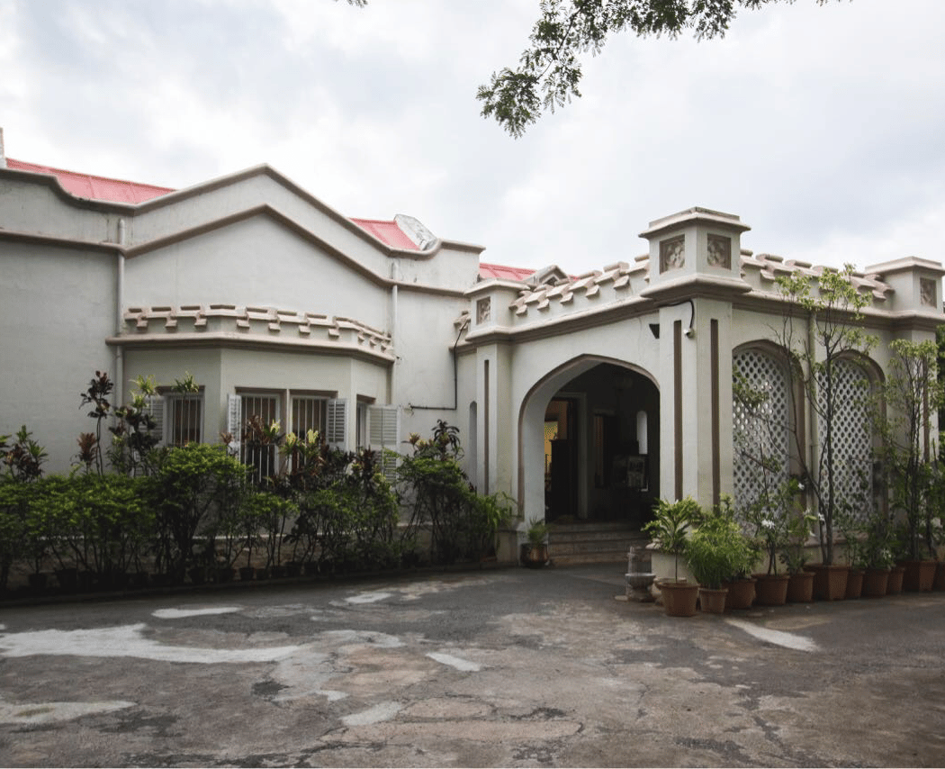 RainTree 3
