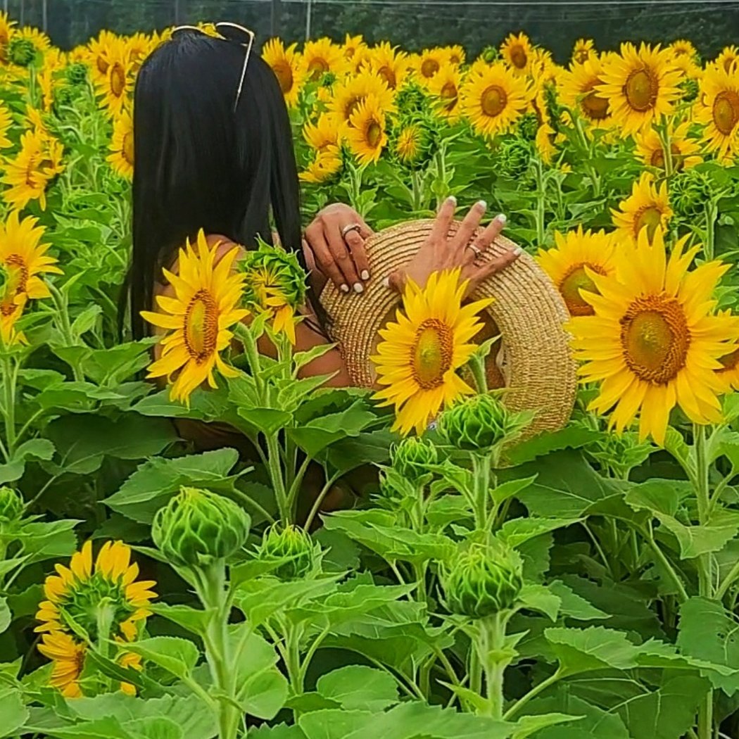 Happy Day Farm 3