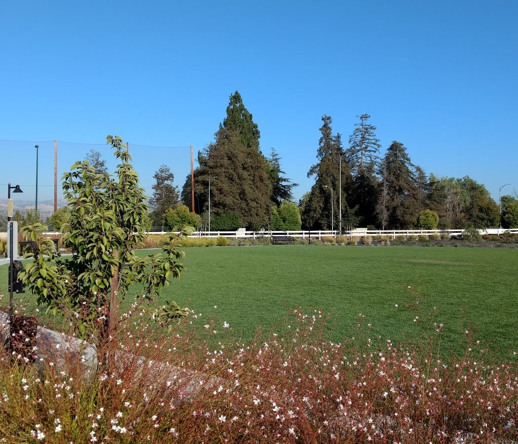 Orchard Park 3