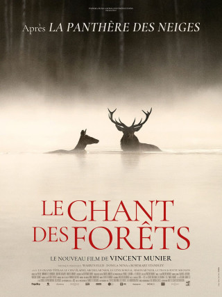 LE CHANT DES FORÊTS 1