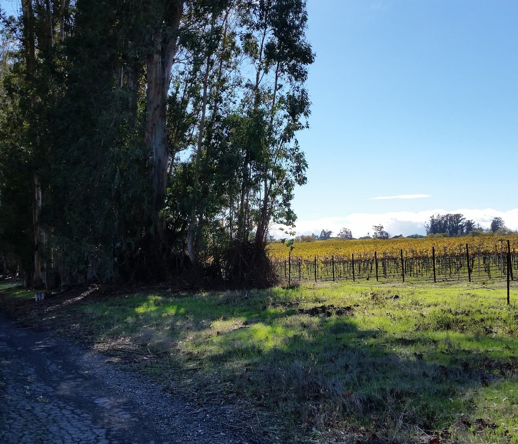 Stanly Ranch Area Public Trails 1