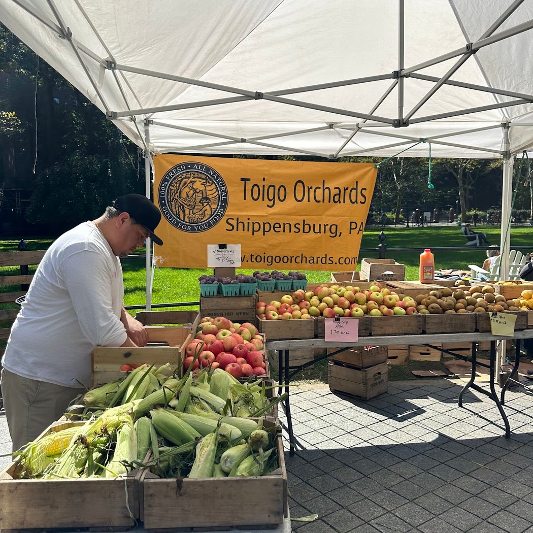 Stuyvesant Town Greenmarket 3