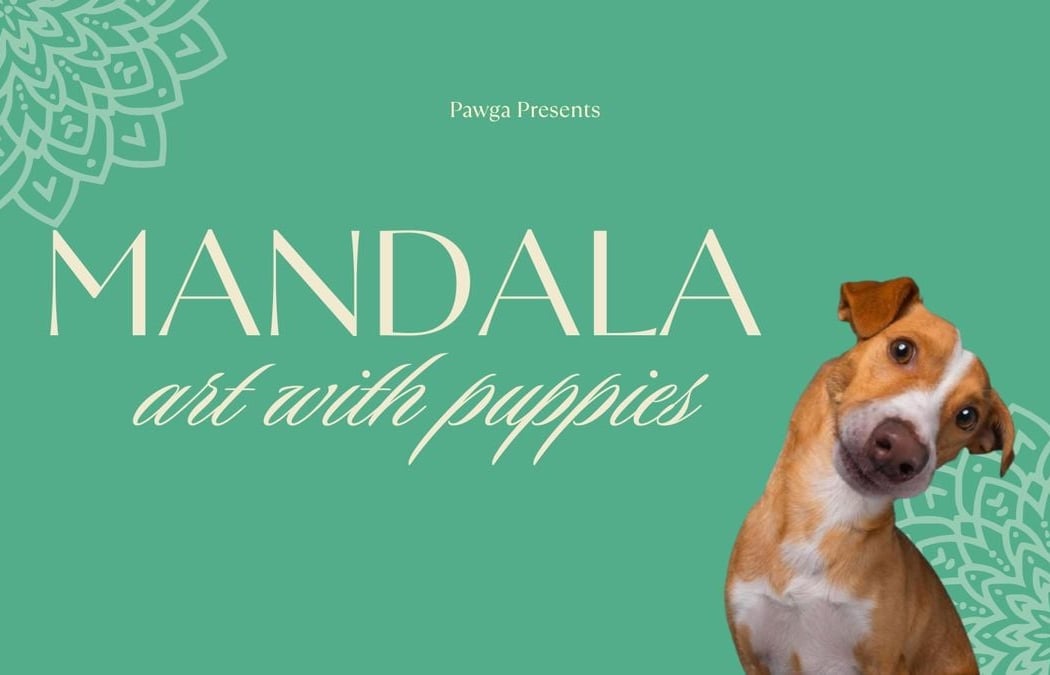 Bangalore Mandala Art with Puppies