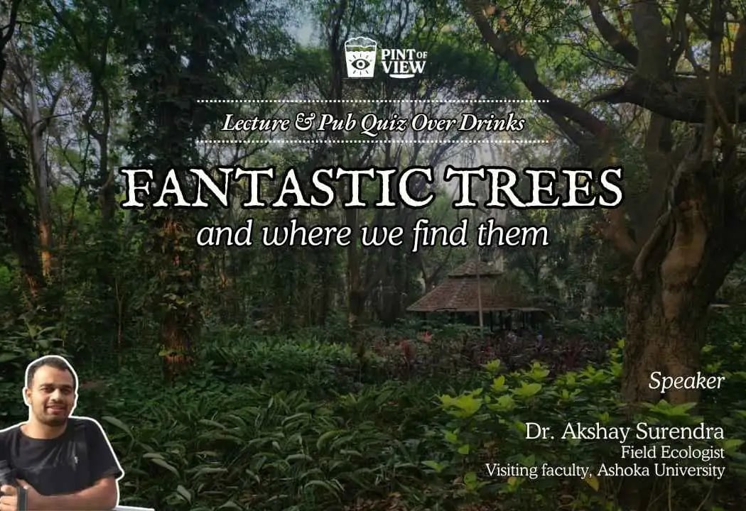 Fantastic Trees & Where We Find Them 1