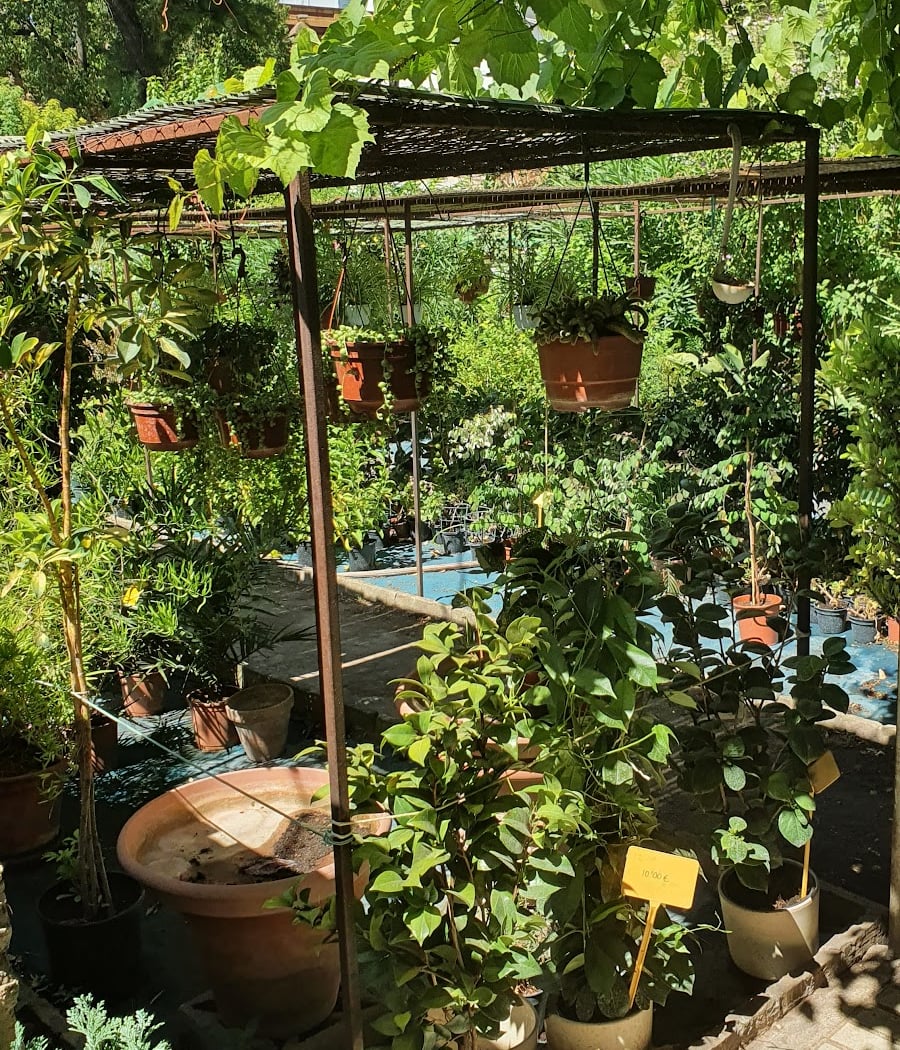 Vivero Sujardín 3