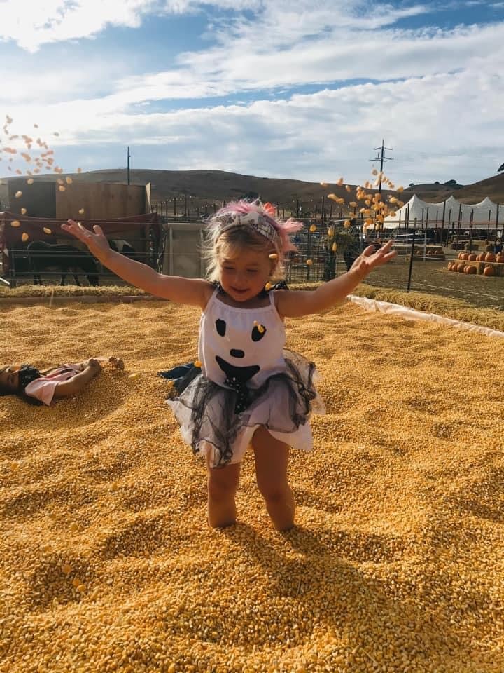 Mickelson Pumpkin Patch 1