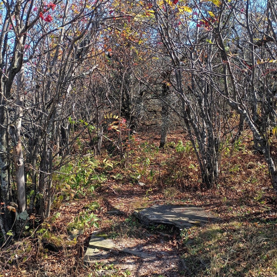 Catskill Park 3