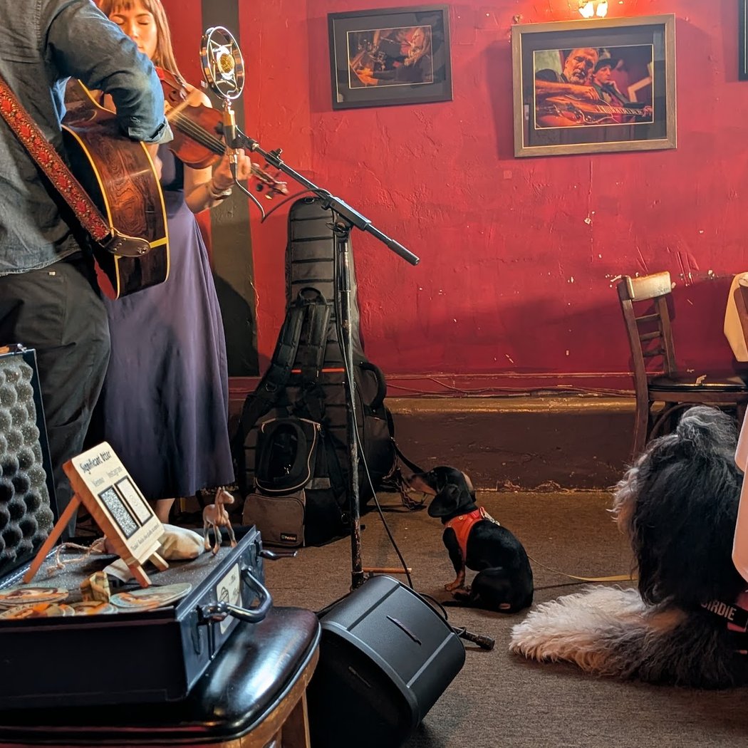 Singing with 12 String Roulette 1