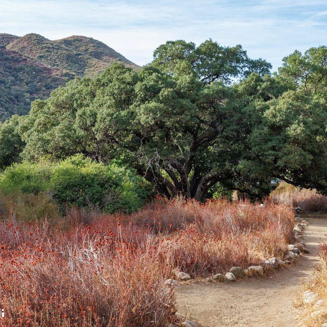 Placerita Canyon Nature Center 1