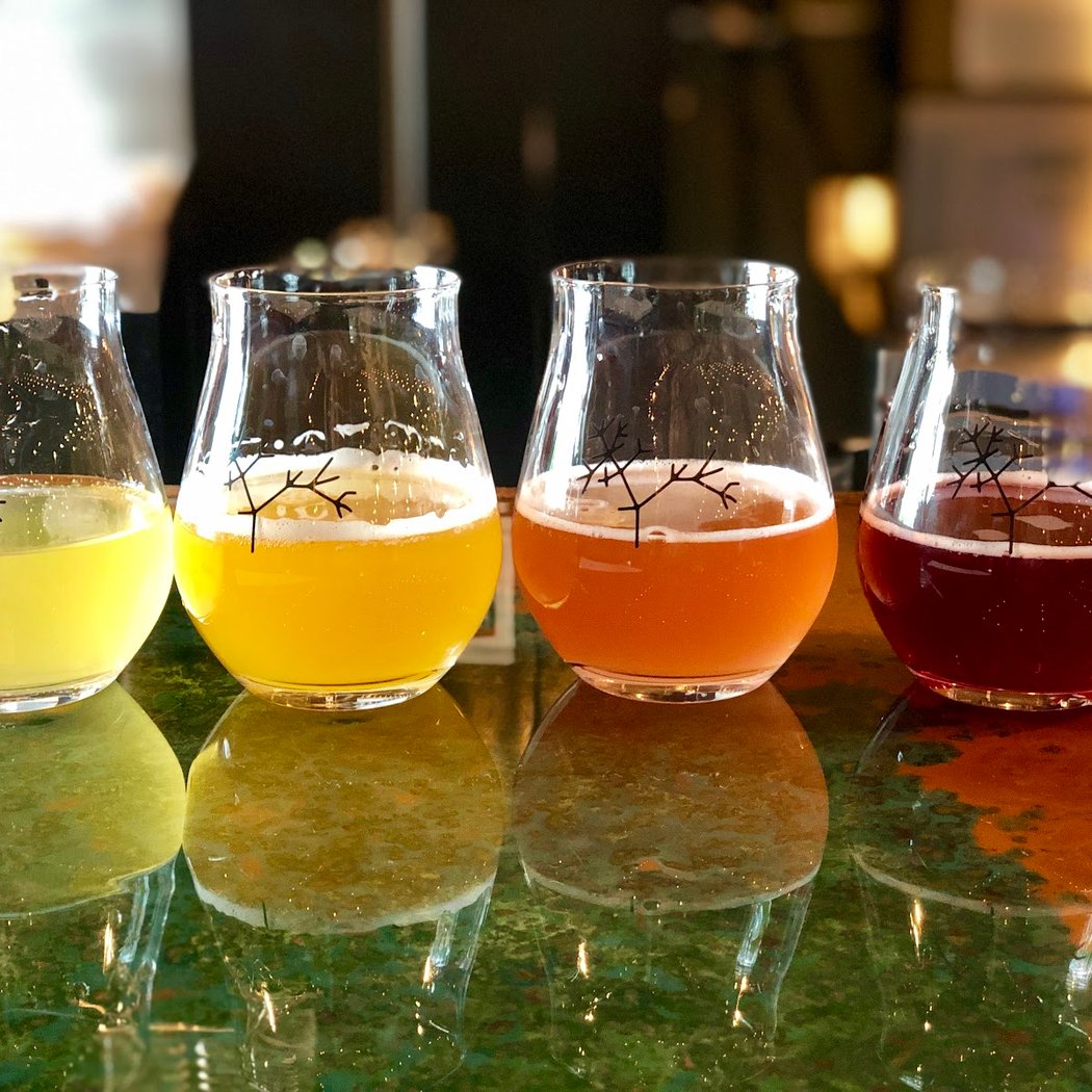 Speciation Cellars 1