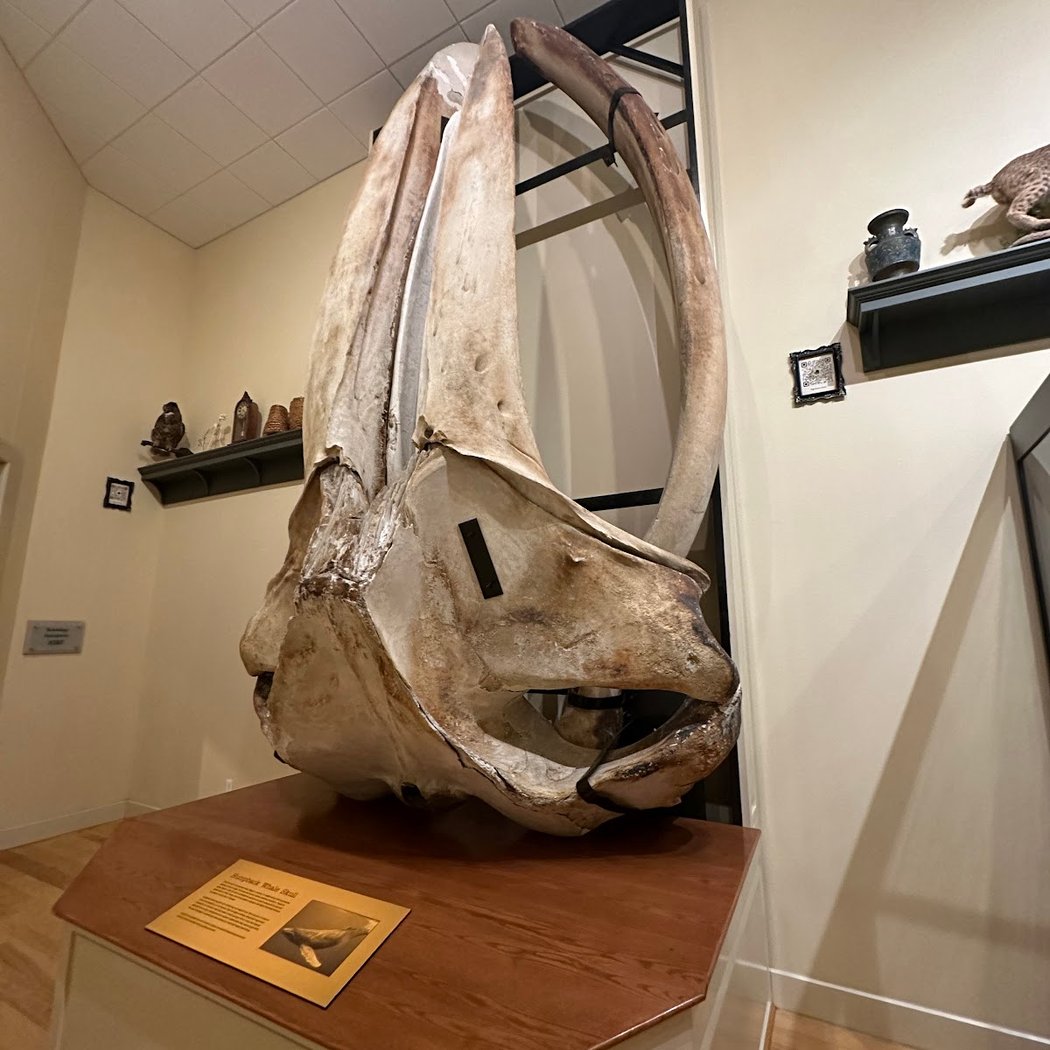 Mayborn Museum Complex 2