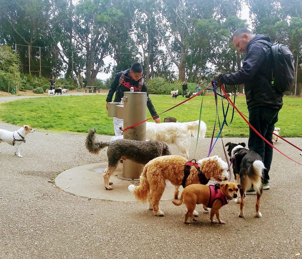 St. Mary's Dog Park 1