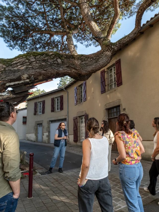 Château de Clisson 2