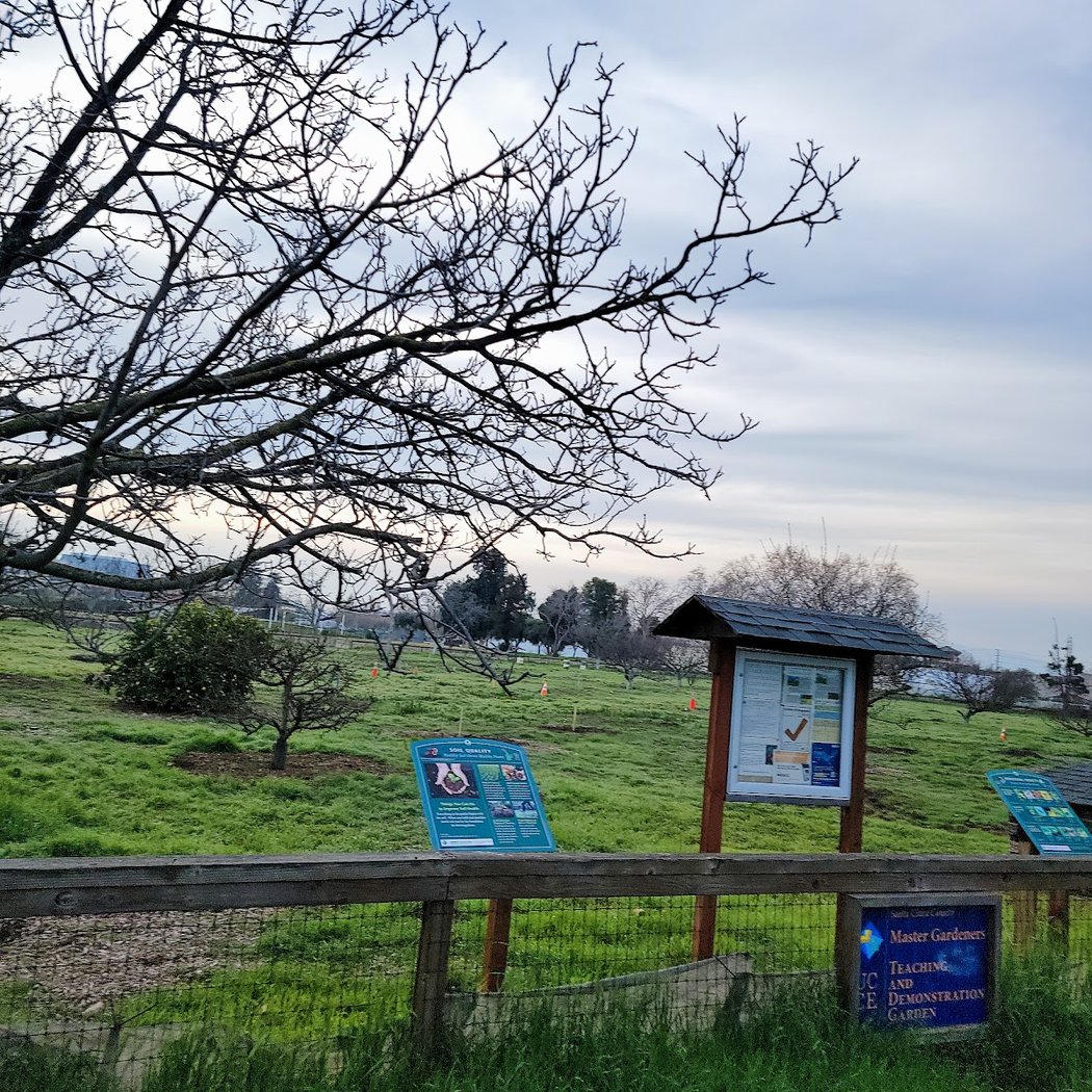 Historic Orchard 2