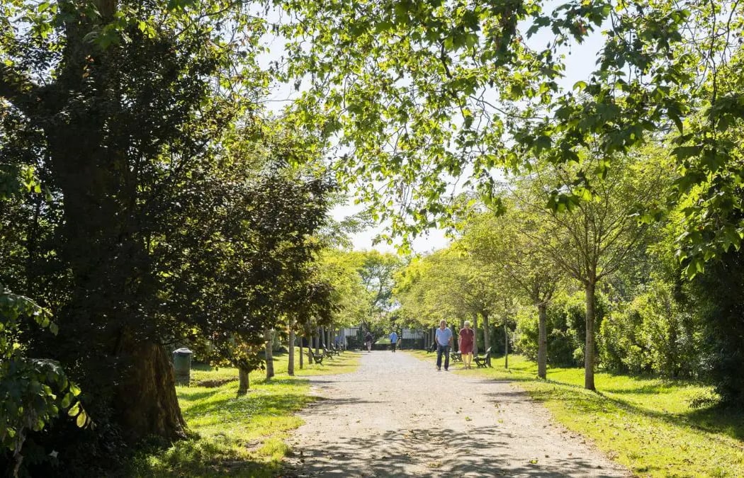 Parc Mazon 1